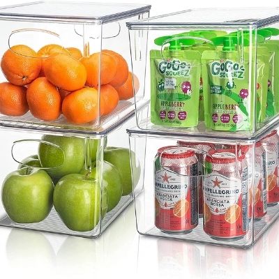 sorbus-clear-food-storage-bins
