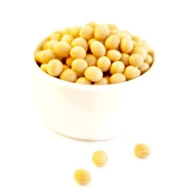 Soybean