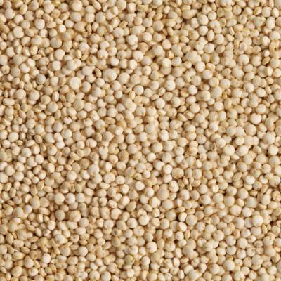 Quinoa
