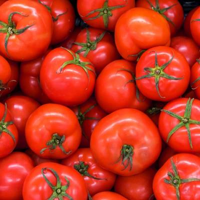 Tomatoes