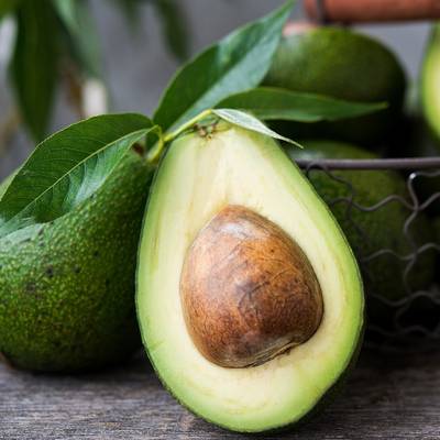 Avocado