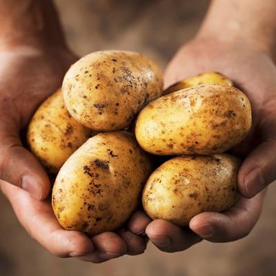 Potatoes