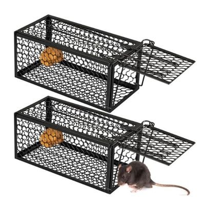 Humane Rodent Trap