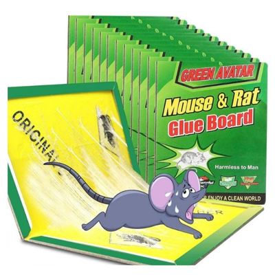 Glue Traps